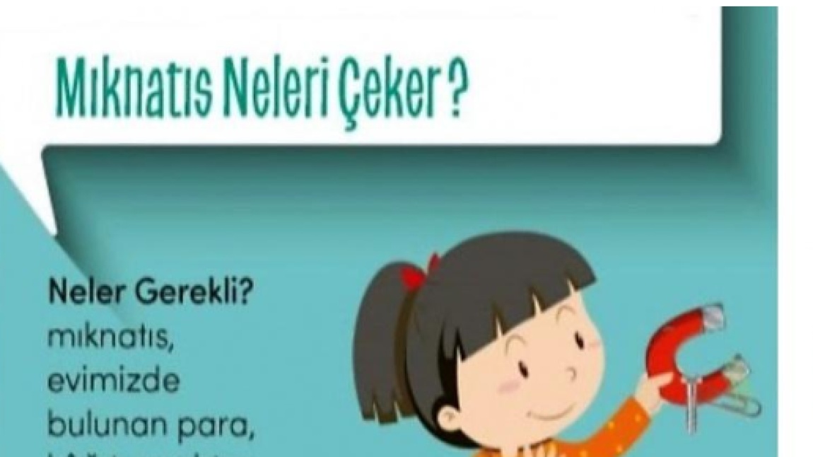 MIKNATIS NELERİ ÇEKER?